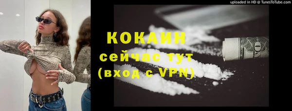 крисы Богданович