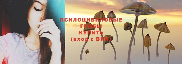 крисы Богданович
